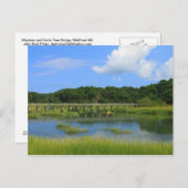 Marshes and oom Tim's Bridge, Wellfleet MA Briefkaart (Voorkant / Achterkant)