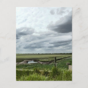 Marshes Briefkaart