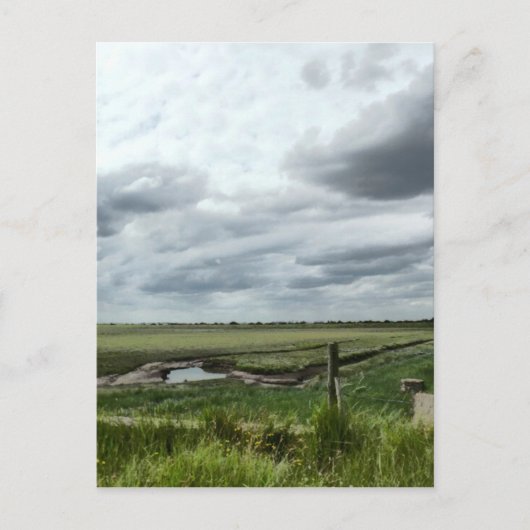 Marshes Briefkaart (Voorkant)