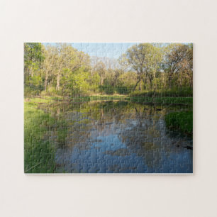 Marshes of Battle Creek Park Legpuzzel