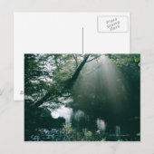 Marshland 3 briefkaart (Voorkant / Achterkant)