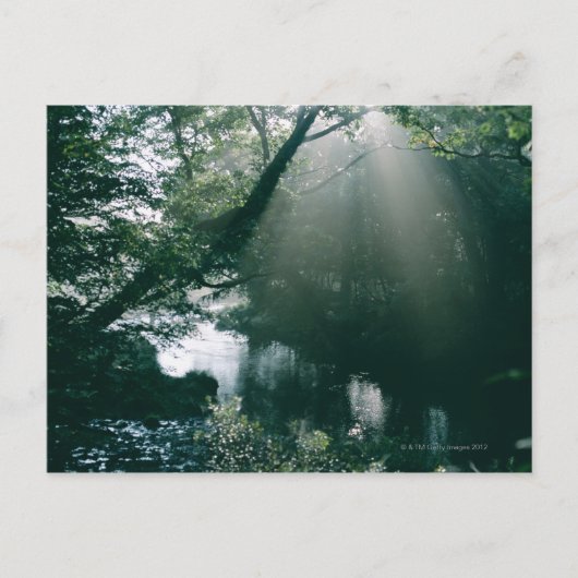 Marshland 3 briefkaart (Voorkant)