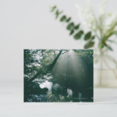 Marshland 3 briefkaart (Staand voorkant)