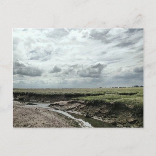 Marshland Briefkaart (Voorkant)