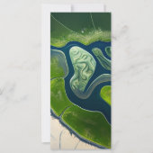 Marshland Elegance (Voorkant)