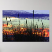 Marshland Sunset Poster (Voorkant)