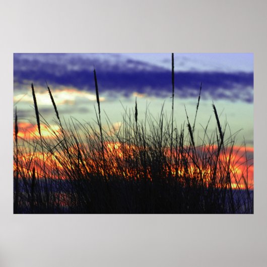 Marshland Sunset Poster (Voorkant)