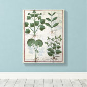 Marshmallow & Hastula Regia Asarabacca & Canvas Afdruk (Insitu (Houten vloer))