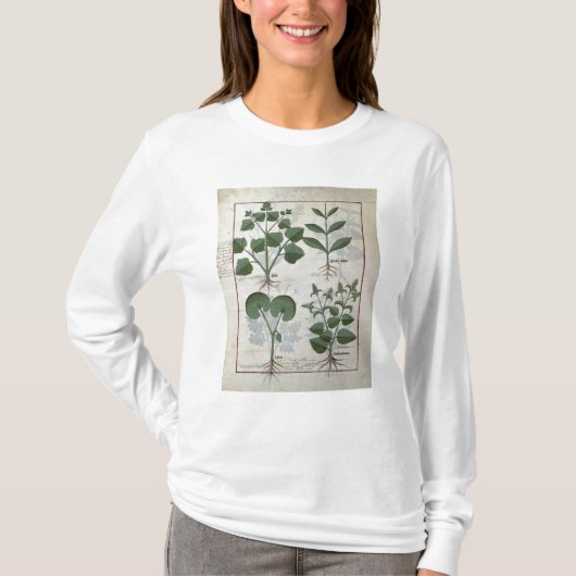 Marshmallow & Hastula Regia Asarabacca & T-shirt (Voorkant)
