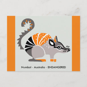 Marsupial - NUMBAT - Natuur - Wildlife - Briefkaart
