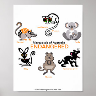 Marsupials - poster