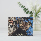 Marter in Nette Boom Briefkaart (Staand voorkant)