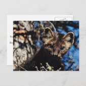 Marter in Nette Boom Briefkaart (Voorkant / Achterkant)