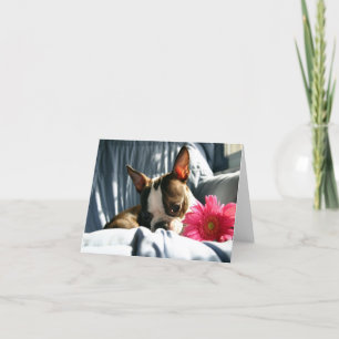 Martha en Gerber Daisy Kaart