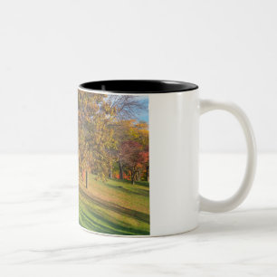 Marthaler Park Autumn Trees op Hilltop Tweekleurige Koffiemok