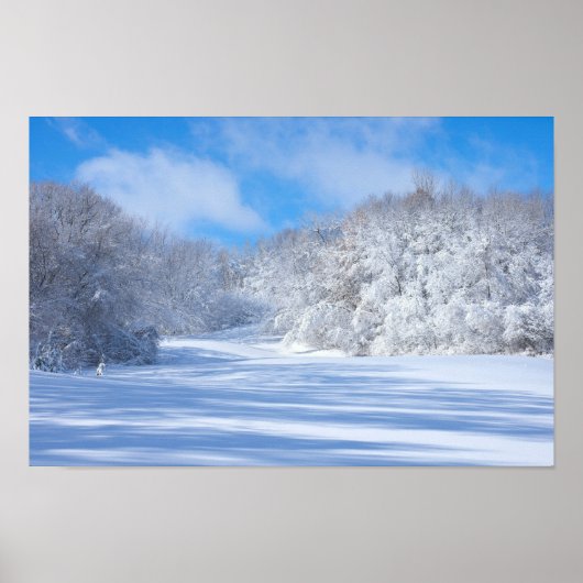 Marthaler Park Besneeuwde Heuvels Poster (Voorkant)
