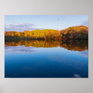 Marthaler park bossen en vijver lente zonsopgang poster