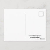 Marthaler Park Snowy Hills Briefkaart (Achterkant)