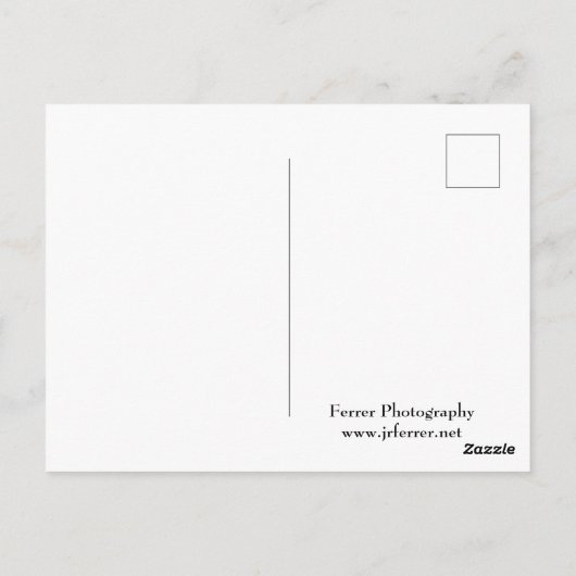 Marthaler Park Snowy Hills Briefkaart (Achterkant)