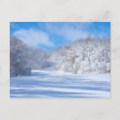 Marthaler Park Snowy Hills Briefkaart (Voorkant)