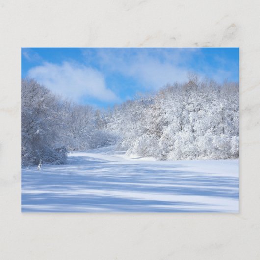 Marthaler Park Snowy Hills Briefkaart (Voorkant)