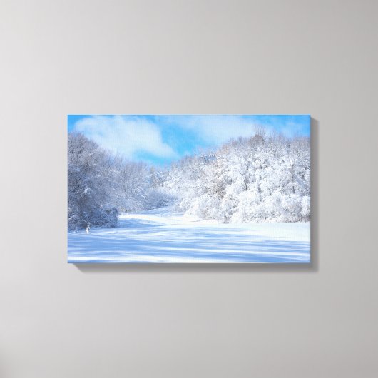 Marthaler Park Snowy Hills Canvas Afdruk (Voorkant)