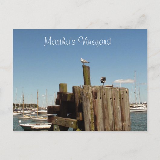 Martha's Vineyard-ansichtkaart Briefkaart (Voorkant)