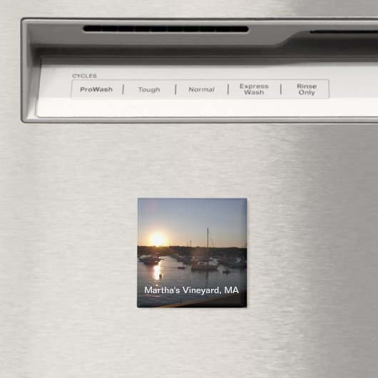 Martha's Vineyard Magneet (Insitu (Vaatwasser))