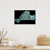 Marthas Vineyard Massachusetts satelliet-poster Poster (Keuken)