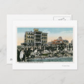 Martha's Vineyard, Uitzicht van Zee Uitzicht Avenu Briefkaart (Voorkant / Achterkant)