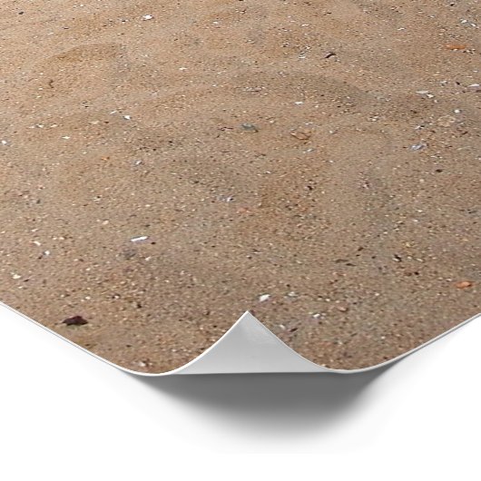 Martha's Vineyard vuurtoren Poster (Hoek)