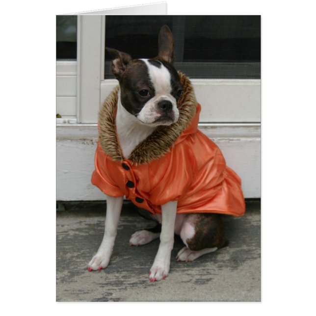 Martha's winterjas (Voorkant)