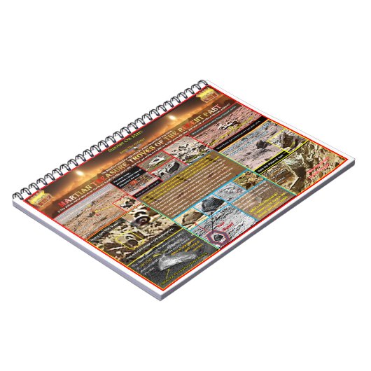 Martiaanse schatkistboeven notitieboek (Linkerzijde)