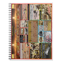 Martiaanse schatkistboeven notitieboek