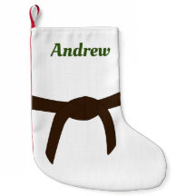 Martial Arts Brown Belt