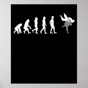 Martial Arts Evolution of Man Funny MMA Fight Poster