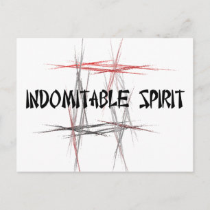 Martial Arts Indomitable Spirit Briefkaart