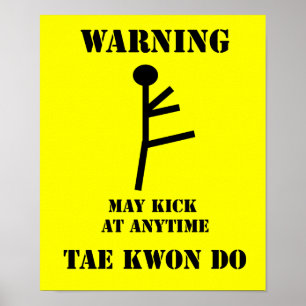 Martial Arts Taekwondo Poster