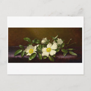 Martin Heade Cherokee Rozen op een Paarse doek Briefkaart