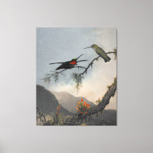 MARTIN J. HEADE Stripe-breasted Starthroat (1864) Canvas Afdruk