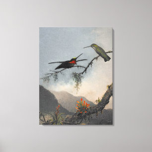 MARTIN J. HEADE Stripe-breasted Starthroat (1864) Canvas Afdruk