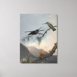 MARTIN J. HEADE Stripe-breasted Starthroat (1864) Canvas Afdruk