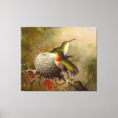 MARTIN J. HEADE - Twee robijn keels door hun nest  Canvas Afdruk (Voorkant)
