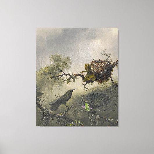 MARTIN J. HEADE Witbuikvioletkolibrie (1863-64) Canvas Afdruk (Voorkant)