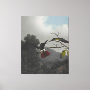 MARTIN J. HEADE - Zwarte mango - 1863-64 - Canvas Afdruk