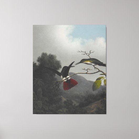 MARTIN J. HEADE - Zwarte mango - 1863-64 - Canvas Afdruk (Voorkant)