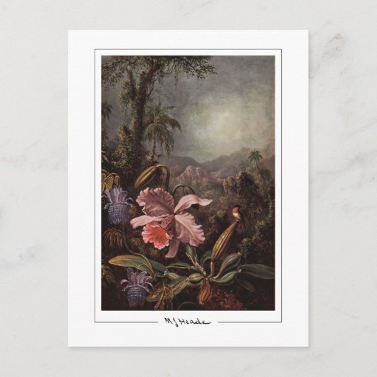 Martin Johnson Heade #202 - Kunstpostkaart Briefkaart (Voorkant)