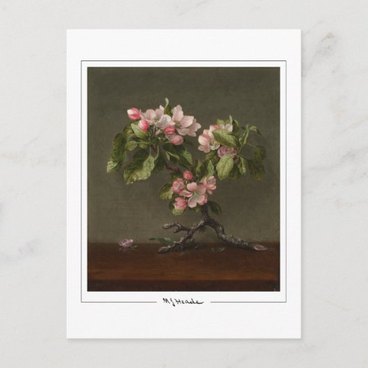 Martin Johnson Heade #26 - Kunstkaart Briefkaart (Voorkant)