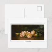Martin Johnson Heade #34 - Fine Art Briefkaart (Voorkant / Achterkant)
