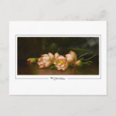 Martin Johnson Heade #34 - Fine Art Briefkaart (Voorkant)
